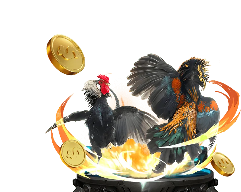 Tổng quan về đá gà trực tuyến và tài xỉu online world